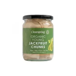 Άγουρο Jackfruit κομμάτια σε άλμη