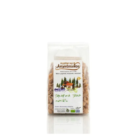 Κοχύλι Ζέας λευκό