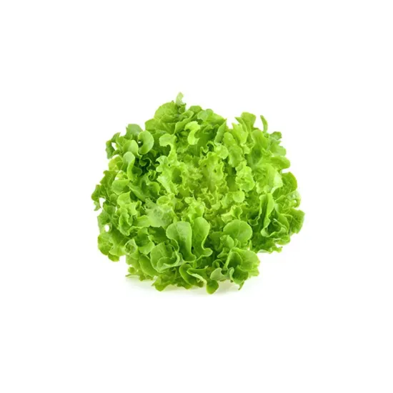 Σαλάτα Πράσινη Σγουρή Bio