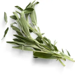 Φασκόμηλο Bio