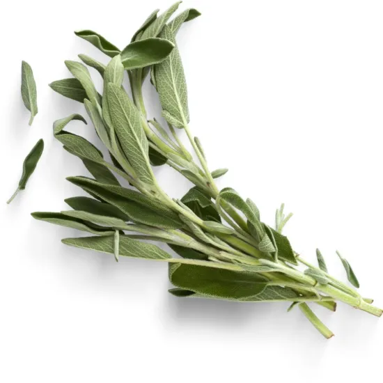 Φασκόμηλο Bio